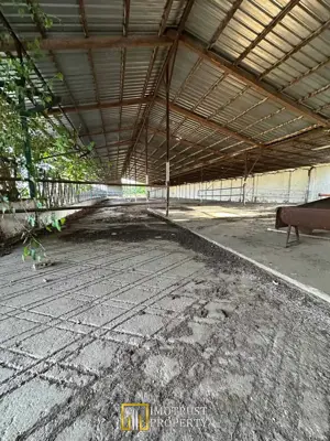 Teren 9.508 mp cu 2 fronturi stradale – Sofronea, Arad - imagine 5