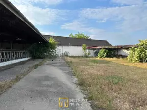 Teren 9.508 mp cu 2 fronturi stradale – Sofronea, Arad - imagine 3