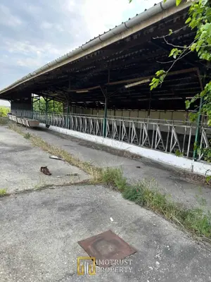 Teren 9.508 mp cu 2 fronturi stradale – Sofronea, Arad - imagine 4