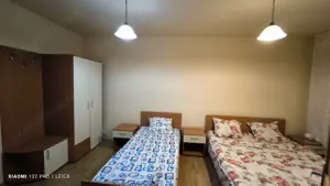 Afacerea Ideala- Vila cu deschidere la Dunare 50 ml cu Ponton amenajat, ESELNITA - imagine 7