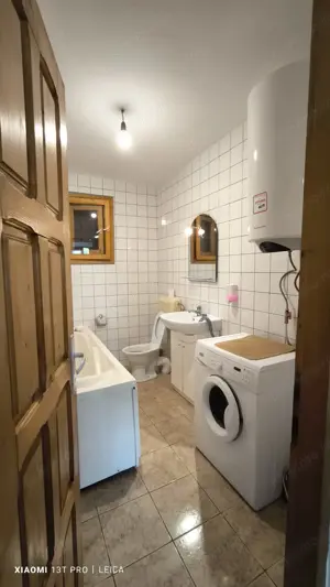 Afacerea Ideala- Vila cu deschidere la Dunare 50 ml cu Ponton amenajat, ESELNITA - imagine 9