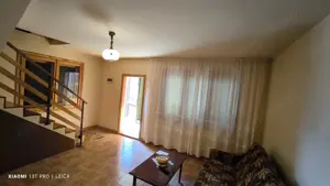 Afacerea Ideala- Vila cu deschidere la Dunare 50 ml cu Ponton amenajat, ESELNITA - imagine 11