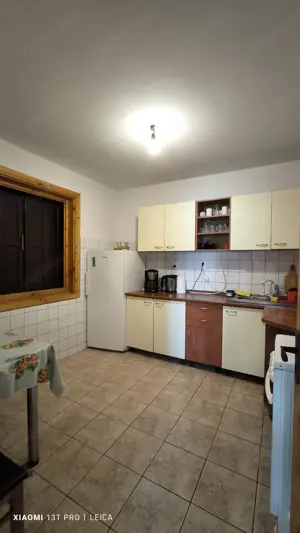 Afacerea Ideala- Vila cu deschidere la Dunare 50 ml cu Ponton amenajat, ESELNITA - imagine 16