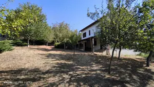 Afacerea Ideala- Vila cu deschidere la Dunare 50 ml cu Ponton amenajat, ESELNITA - imagine 3