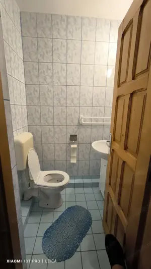 Afacerea Ideala- Vila cu deschidere la Dunare 50 ml cu Ponton amenajat, ESELNITA - imagine 19