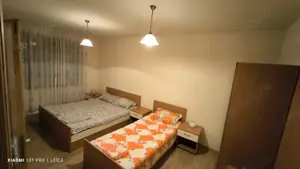 Afacerea Ideala- Vila cu deschidere la Dunare 50 ml cu Ponton amenajat, ESELNITA - imagine 20