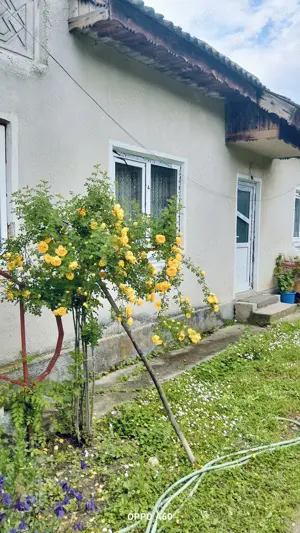 Case de vanzare la sat