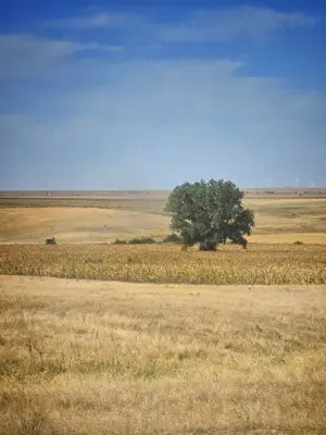 Vanzare Inchiriere teren pășune 59 Ha-Ideal Parc Energetic - imagine 4