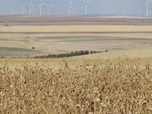 Vanzare Inchiriere teren pășune 59 Ha-Ideal Parc Energetic - imagine 6