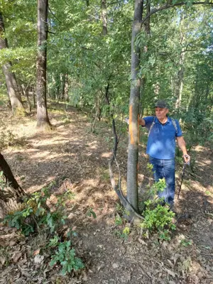 3200 mp padure Ilovat Mehedinti - imagine 8