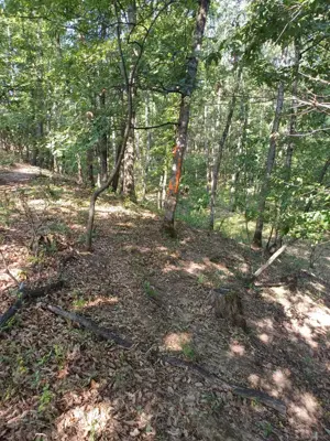 3200 mp padure Ilovat Mehedinti - imagine 2