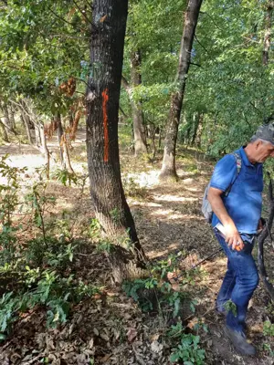 3200 mp padure Ilovat Mehedinti