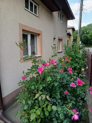 Casa de vanzare in Gura humorului