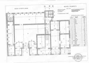 Spatiu comercial ultracentral, in Campina, PH, parc central Milia, Bdul Carol I - imagine 10