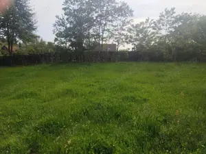 Teren intravilan covasna - imagine 4