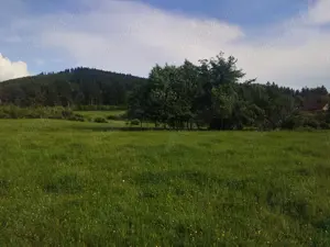 Teren intravilan covasna - imagine 2