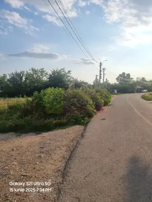 Se vinde teren 2150 mp in Teisori Giurgiu - imagine 14