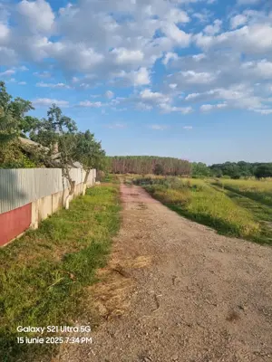 Se vinde teren 2150 mp in Teisori Giurgiu - imagine 11