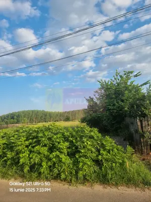 Se vinde teren 2150 mp in Teisori Giurgiu - imagine 8