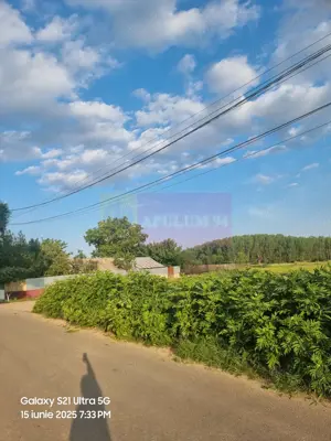 Se vinde teren 2150 mp in Teisori Giurgiu - imagine 9