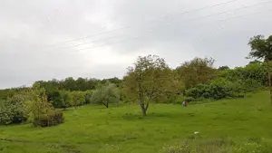 Vand teren constructii in DEJ  - imagine 5