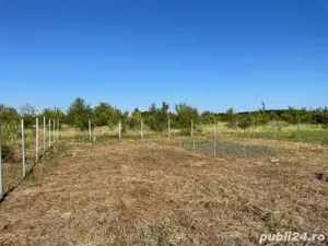 Vand teren intravilan 832mp Bucovat - imagine 3