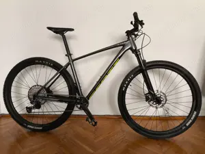 Scott scale 980 L 1x12   roti 29 inch