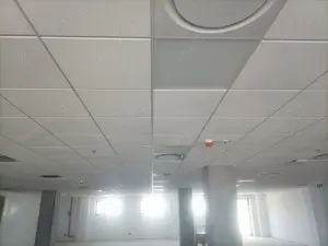 Caut meseriași finisaje interioare  - imagine 4