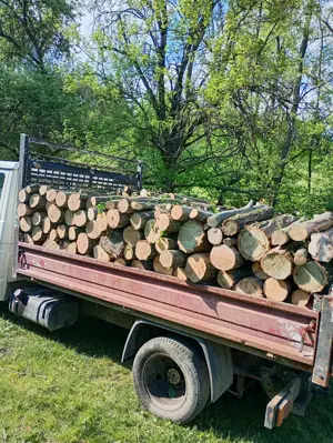 Lemn de foc paletizat - imagine 2