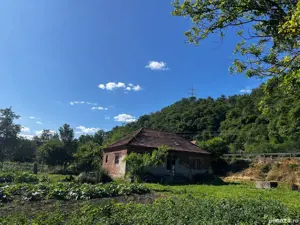 Casa de vanzare comuna Burjuc  - imagine 5