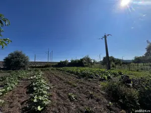 Casa de vanzare comuna Burjuc  - imagine 2