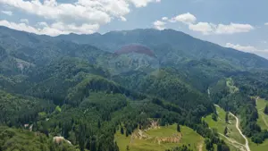 TTeren intravilan, 3500 mp, Dâmbu Morii - imagine 9