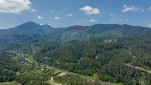 TTeren intravilan, 3500 mp, Dâmbu Morii - imagine 10