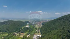 TTeren intravilan, 3500 mp, Dâmbu Morii - imagine 11