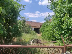 Teren 3100 mp de vanzare + casa veche an 1922 sat Chesinti, jud Arad - imagine 2