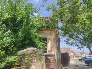 Teren 3100 mp de vanzare + casa veche an 1922 sat Chesinti, jud Arad - imagine 4