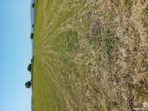 Teren arabil extravilan, 15300 + 5200 mp - imagine 3