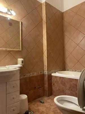 Floreasca Vila 8 camere  - imagine 4