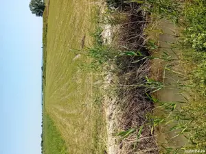 Teren arabil extravilan, 15300 + 5200 mp - imagine 4