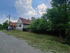 Casa batraneasca + teren Cralovat(Timis) - imagine 4