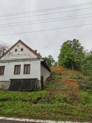 Casa batraneasca + teren Cralovat(Timis) - imagine 2