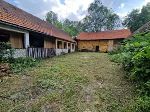 Casa batraneasca + teren Cralovat(Timis) - imagine 5