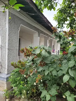 Casă cu teren aproape de București la 15 minute! - imagine 3