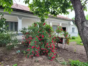 Casă cu teren aproape de București la 15 minute! - imagine 2