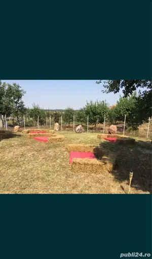 Vand casa de locuit spatiu comercial in loc. Sarbova, com. Racovita - imagine 5