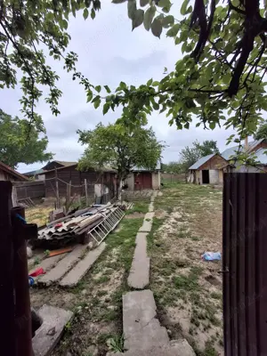 Casă de vânzare comuna suhaia, teleorman - imagine 10