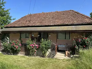 Vand casa de caramida sat Bodesti -comuna Halmagiu Arad - imagine 3
