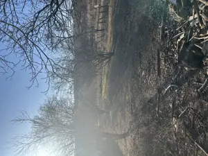 Casa de vanzare - imagine 9