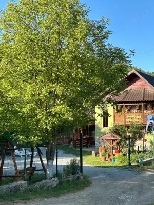 Inchiriere cabana la Muntele Gaina