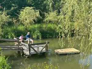 Inchiriere cabana la Muntele Gaina - imagine 3